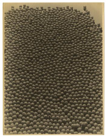 René Basset (1919-2021), La ration de pois secs © Photo René Basset - Collection du CHRD, Ar. 2203