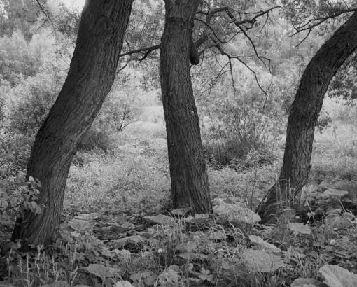 Emmanuel Berry, Paysages à l’entour, Auschwitz-Oswiecim, 2007 © Photo Emmanuel Berry - Collection du CHRD, Ar. 1565