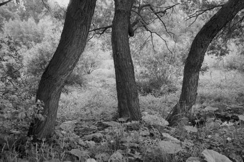 Emmanuel Berry, Paysages à l’entour, Auschwitz-Oswiecim, 2007 © Photo Emmanuel Berry - Collection du CHRD, Ar. 1565