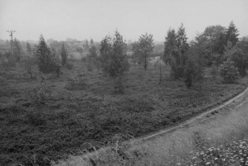 Emmanuel Berry, Paysages à l’entour, Auschwitz-Oswiecim, 2007 © Photo Emmanuel Berry - Collection du CHRD, Ar. 1565