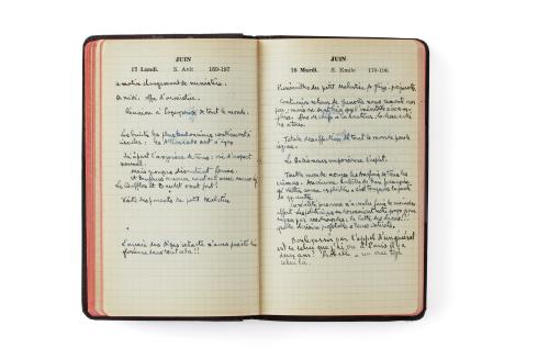 CHRDLyon_CollectionBrunat©Pierre Verrier