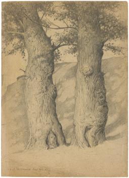 "Deux arbres" par Arthur Goldschmidt, 1944 - Collection du CHRD, fonds Georges-Arthur Goldschmidt, N° Inv. Ar. 1626-30 © Pierre Verrier