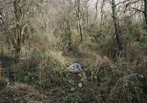 "Sans titre, La Jungle" par © Mathieu Pernot, 2009-2010,  Tirages jet d’encre