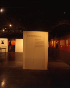 Exposition "Peuple Tsigane. Le silence et l'oubli" présentée au musée du 21 juin au 9 décembre 2007 © Photo CHRD Lyon, 2007