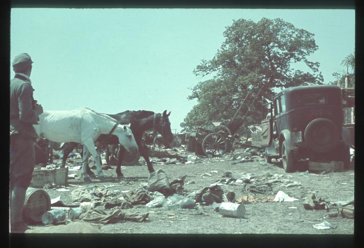 Photographie couleur prise par un officier allemand dans la Loire  - © Collection du Centre de recherche de l'imagerie politique (CIRIP) / Alain Gesgon